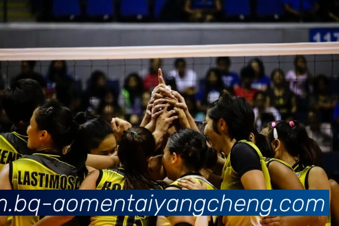 太阳城娱乐品牌故事