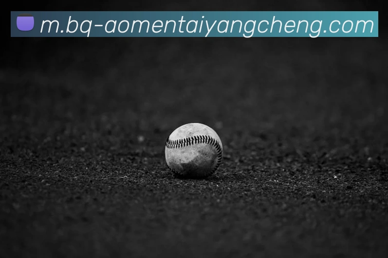 太阳城娱乐服务体系